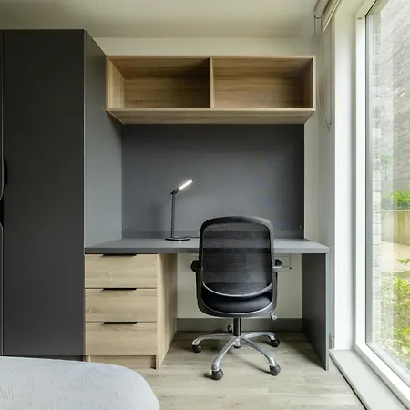 Hotel Ashlin House By Argyl (adults Only) Cork