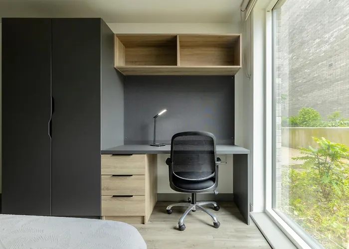 Отель Ashlin House By Argyl (adults Only) Корк